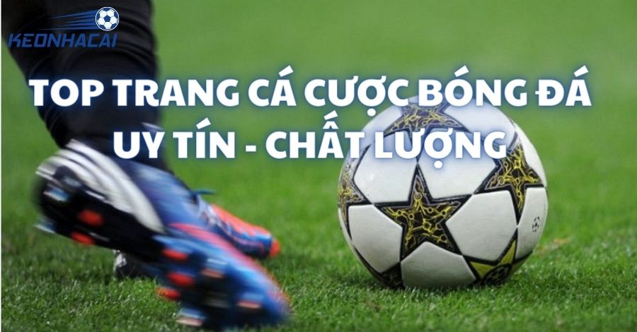 Top trang cá cược bóng đá uy tín nhất Việt Nam hiện nay
